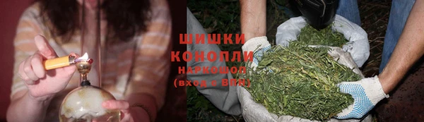 крисы Лабытнанги